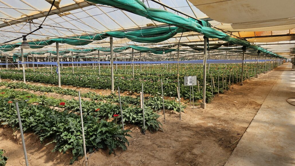 Generateur Vapeur Pour L'horticulture