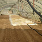 Plastic Sheet For Soil Disnfection 105 M²