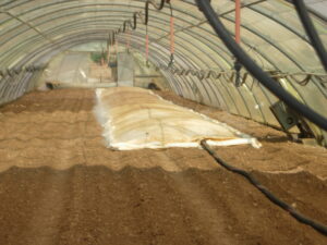 Plastic Sheet For Soil Disnfection 105 M²