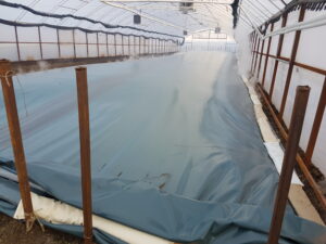 Soil Disinfection Plastic Sheet Of 300 M²